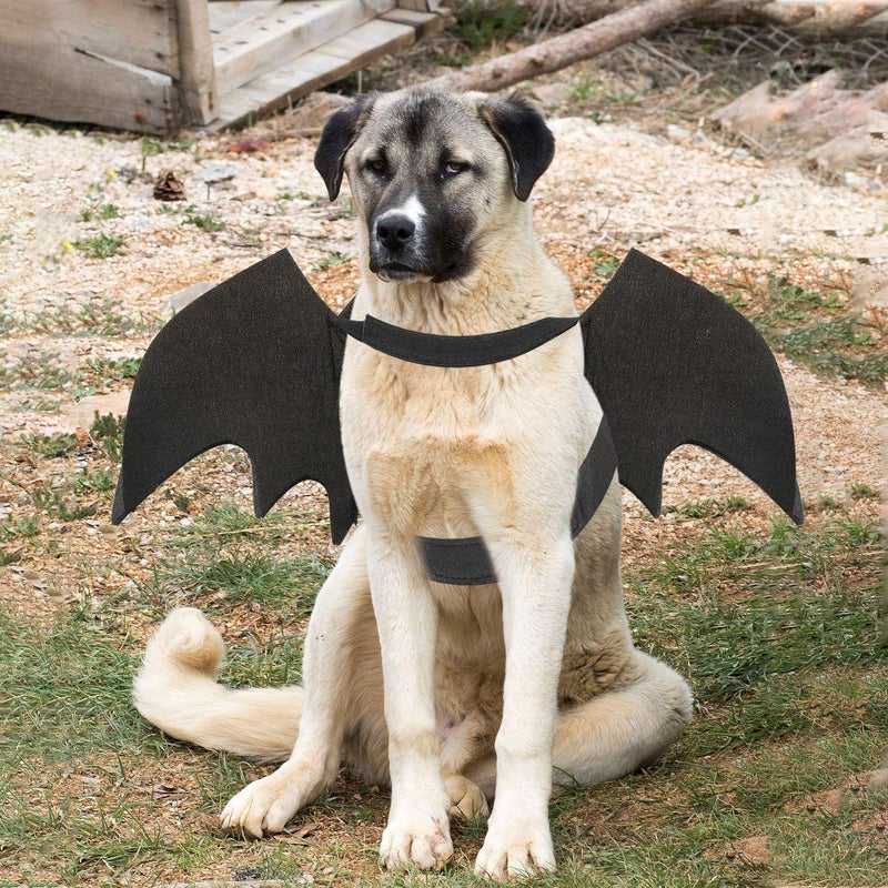 Rypet Dog Bat Costume Halloween Pet Costume Bat Wings Cosplay Dog Costume Cat Costumes for Party XL - Image 5